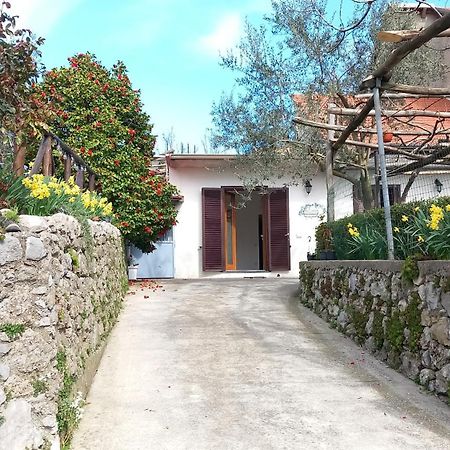 Ferienwohnung Mon Reve 2 Pianillo Exterior foto